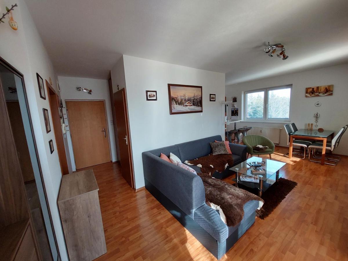 Apartman Tatry 塔查斯卡-鲁穆尼卡 外观 照片
