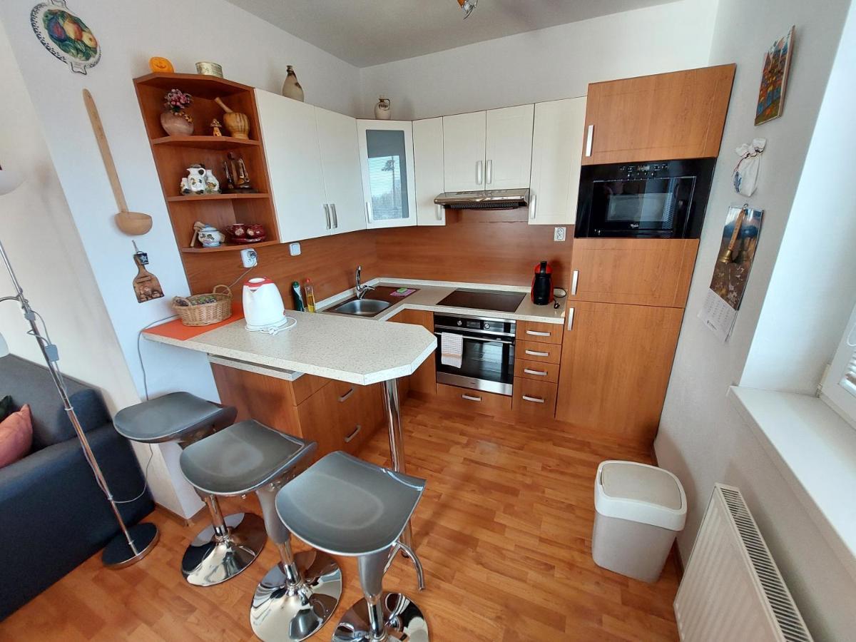 Apartman Tatry 塔查斯卡-鲁穆尼卡 外观 照片